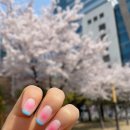 네일도반해