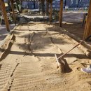 왜관초교(병설) 이미지