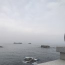 강릉원예사 이미지