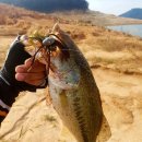 웰펜션민박 | (합천호)KSA팀 워킹 토너먼트 도요피싱컵 4전 후기