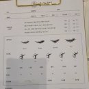 쩡이LASH
