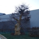 아난티펜트하우스, 서울 이미지