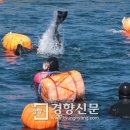 (주)제주가는날 이미지
