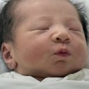 산본스타어린이집(구동심어린이집) | [출산기록] 산본제일병원 제왕절개 2~5일차 후기