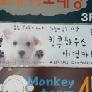 킹콩하우스 애견카페 이미지