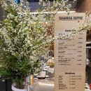 P-6513 | Coffee Brunch Bakery TERAROSA 서울 여의도점 방문후기
