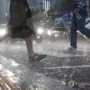 서울도 올해 첫 '호우 긴급재난문자'…1시간 50㎜ 이상 쏟아져 이미지