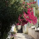 궁전가구 | 그라나다 숙소 추천, 알함브라 궁전뷰 에어비앤비 후기