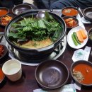이레흑염소