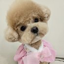 멍그라밍 이미지