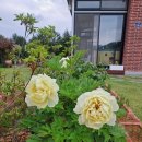 유진부동산중개사무소 이미지