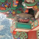 토끼와 자라 이미지