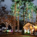 이태원거리#18-1 이미지