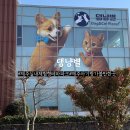 강아지 테마파크 | 제주 40개월 아이랑 댕냥별 서귀포 테마파크 후기 | 4세~초등학교 저학년 추천