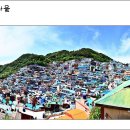 태극마을 이미지