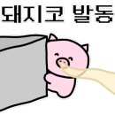 시선순천조례점