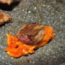 신흥정육점식당 이미지