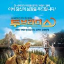 호랑이형제 이미지