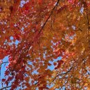 당촌초교 옆 이미지