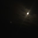 시장민박 이미지