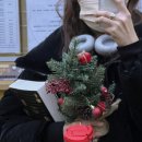 제스티파우더(Zesty powder) 이미지