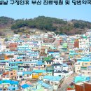 케이씨에스부산수흉부외과의원 | 2022년 설날 구정연휴 부산 진료병원 및 당번약국 (사하구)