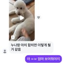 호랑이초밥 영통홈플러스점 | 잔잔바리삼월