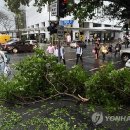 호주에 테니스공 크기 우박 쏟아져…1억 弗 재산피해 이미지