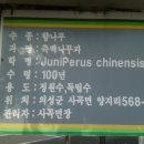 사곡면사무소 이미지
