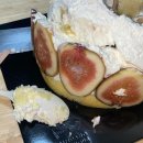 세븐일레븐 대전어울림점 | 추구미와 본성의 차이