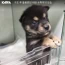 기다림수학
