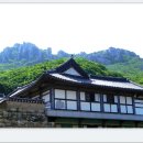 땅끝천년숲옛길 이미지