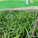 상동어린이공원 이미지