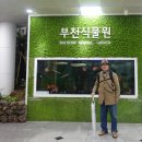 푸른초장