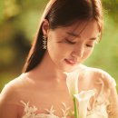 이오니플라워 이미지