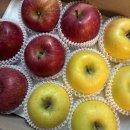 한성마트(1차) | 26년이라니! 1월 월말정산 (미슐랭 1스타 기가스, 리얼포스 R4 30g, 어쩌다 해피엔딩)