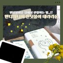 반딧불이의 기억 | 자연관찰 키트 추천, 반디와나비 반딧불이 테라리움 직접 만들어본 후기! 반딧불이를 집에서!