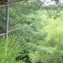 그리다, 어반스케치 이미지