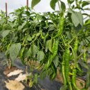 율하농장 이미지