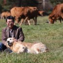 막내목장 이미지