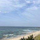 스테이울진 이미지