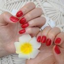 레푸스 금호점 이미지