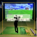 영 스크린골프 이미지