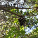 만성농장 이미지