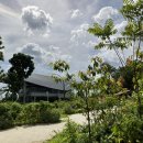 다이소 교통섬 이미지