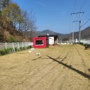 데일리 207 이미지