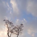 연대 원주캠퍼스에서 느낀 늦가을 정취! ＜즐감해보시길요＞ 이미지