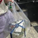 구쁘다떡케이크