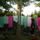 오늘염색 이미지