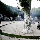 그린카펫 이미지